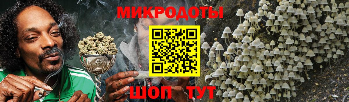 Зерноград  Псилоцибиновые грибы прущие грибы  Вход с VPN 