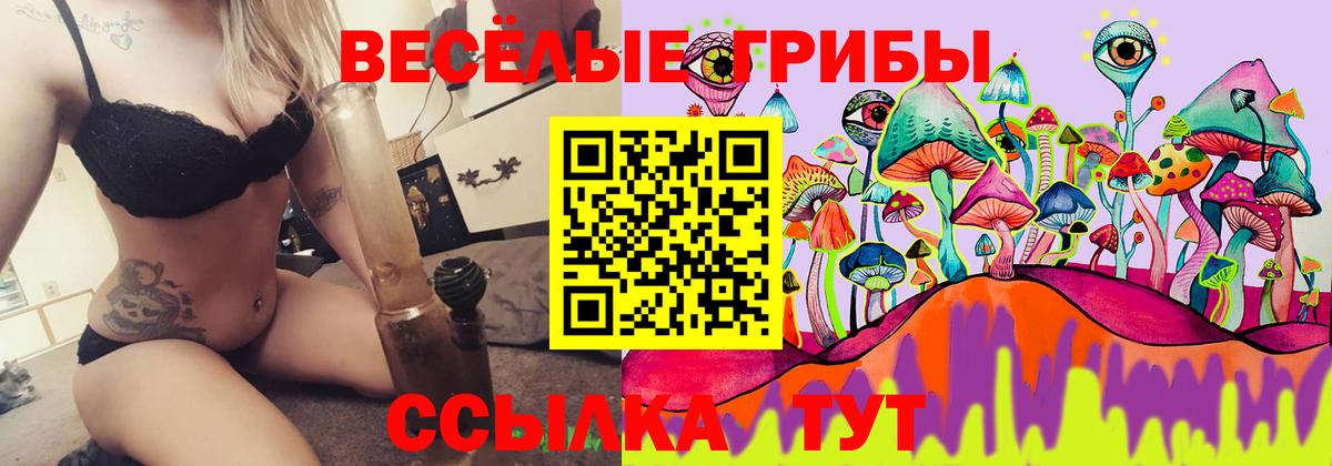 Галлюциногенные грибы мицелий Зерноград